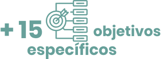 +15 obijetivos especificos